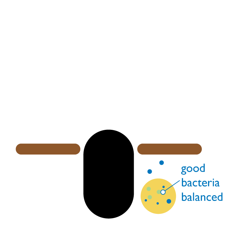 Diagram-4
