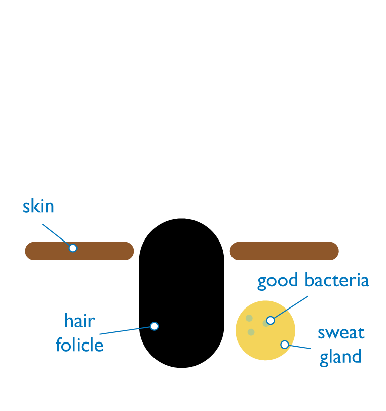 Diagram-1